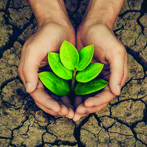 Environment Protection