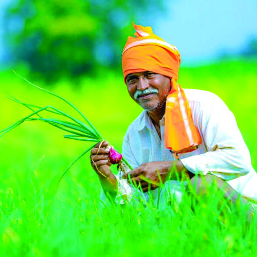 Assistance to Farmers